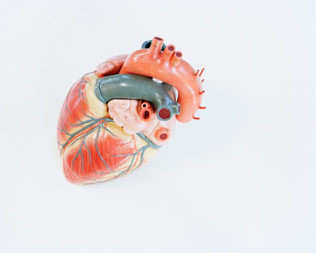 allegramartin_teatrianatomici_01